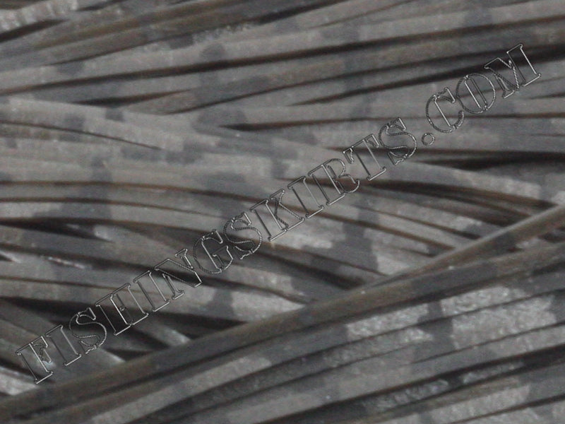 Brown Smoke Dalmatian