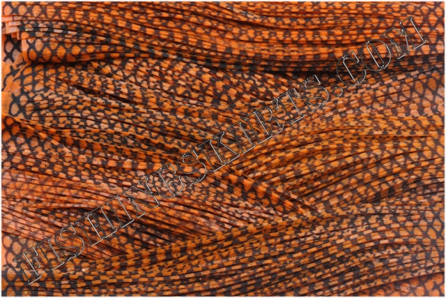 Orange Fish Scale