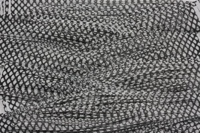 White Fish Scale