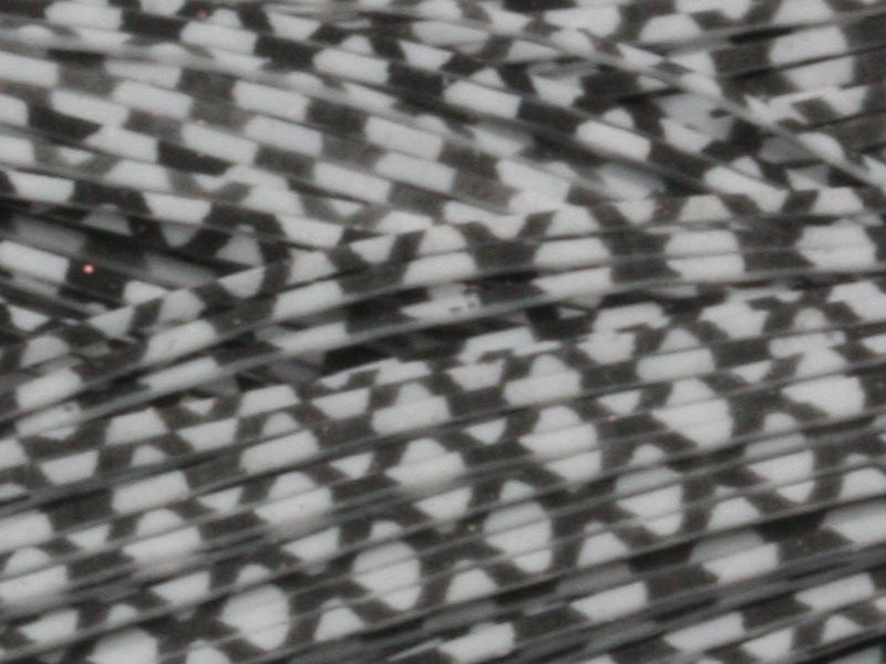 White Fish Scale