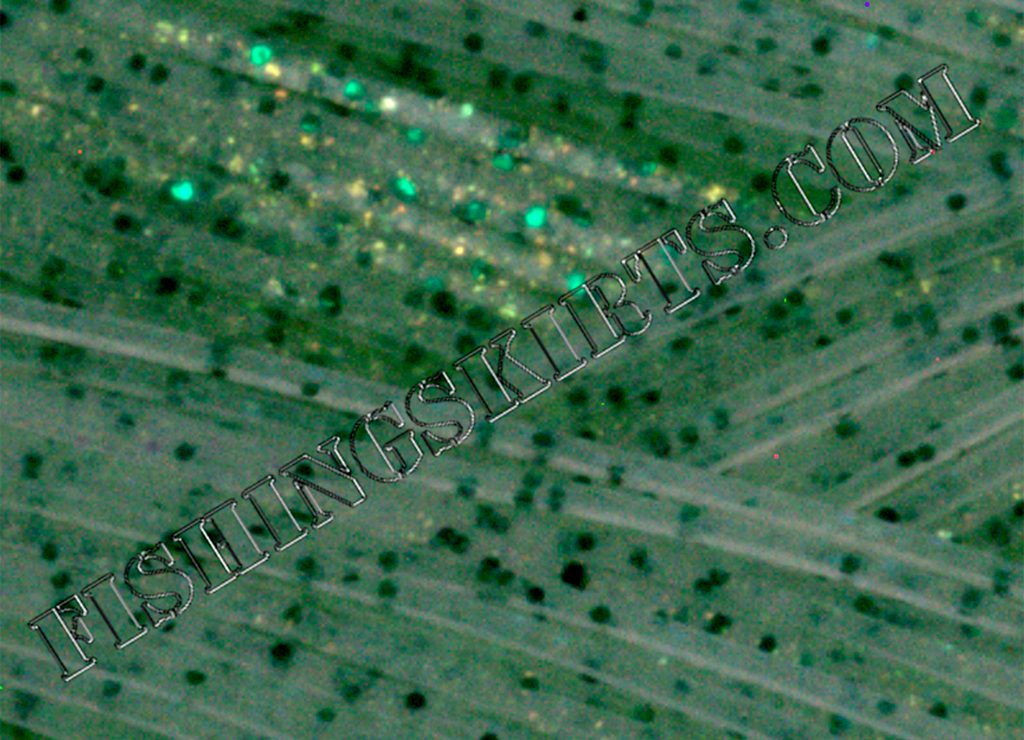 Clear Green Crystal Glow