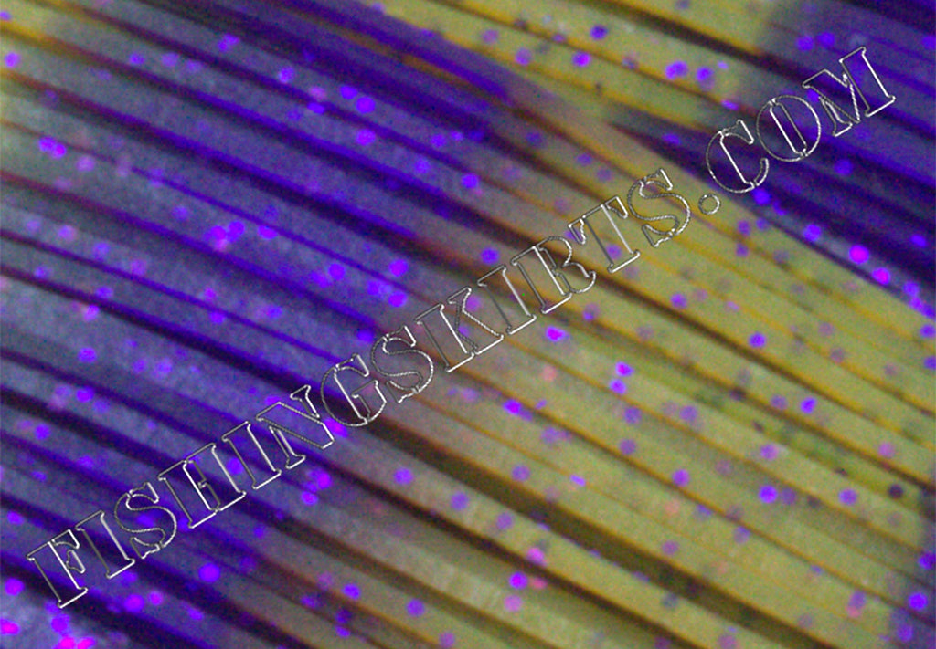 LIVING IMAGE Whiskey Purple