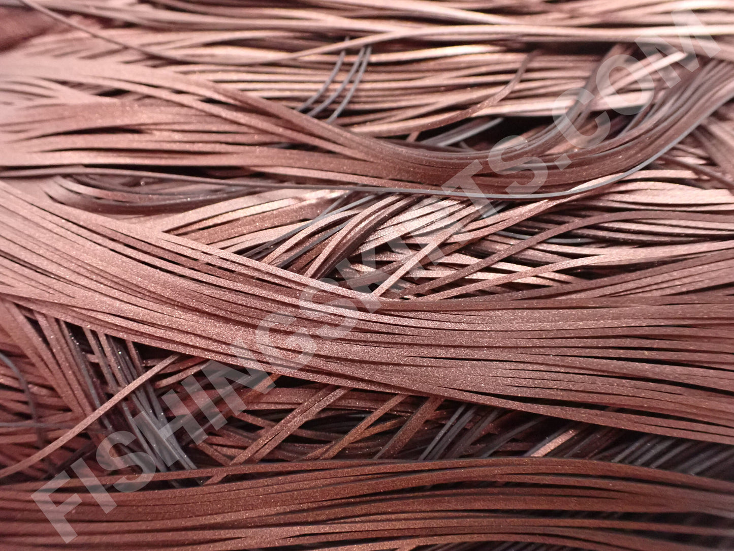 Metallic Chestnut Brown