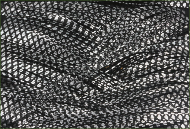 Black Silver Chrome Fish Scale