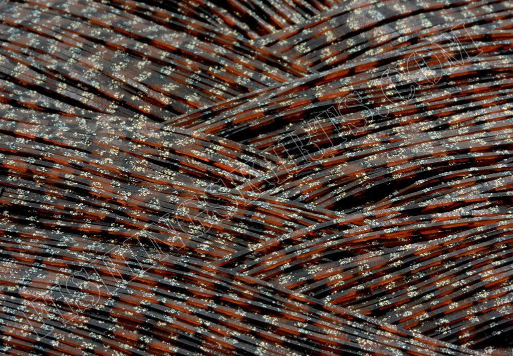 Rusty Craw Barbed Wire
