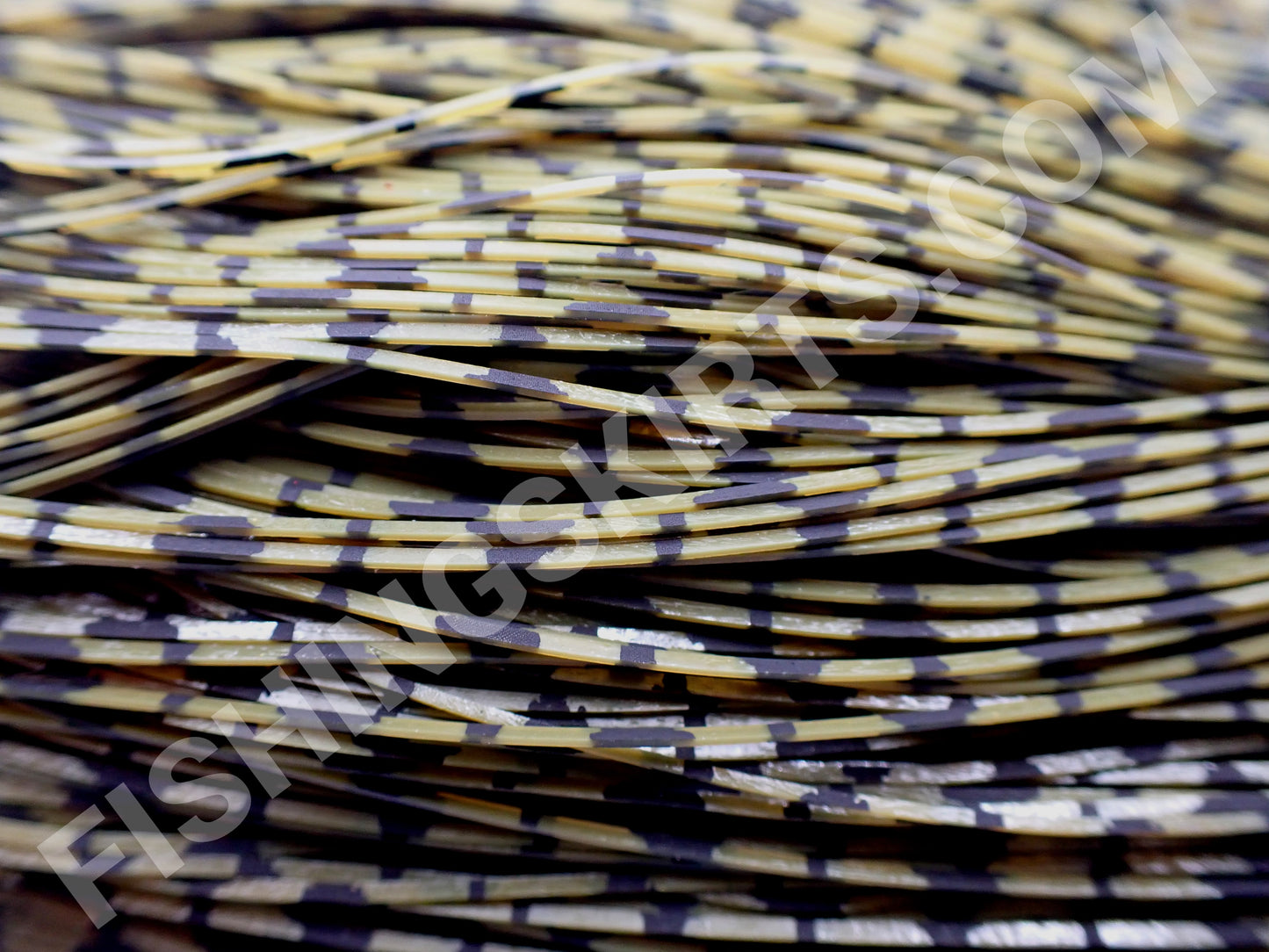 olive pumpkin barbed wire