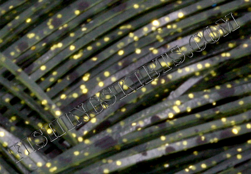 Watermelon Gold Dalmatian