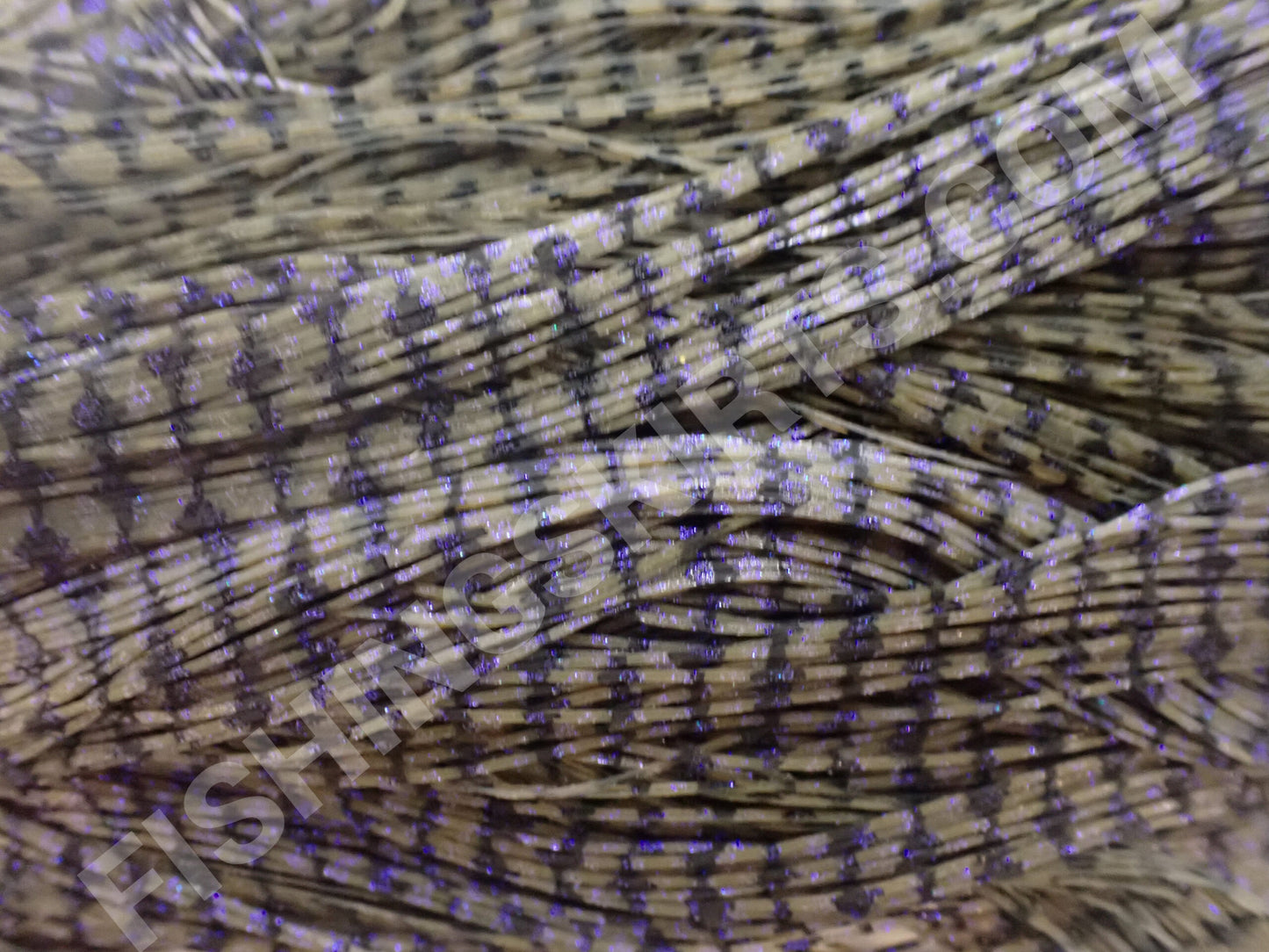 Army GP Purple BW