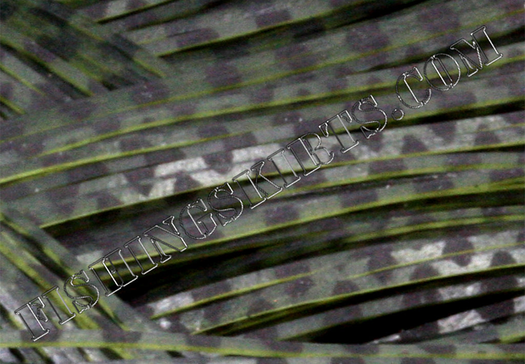 Watermelon Fishscale