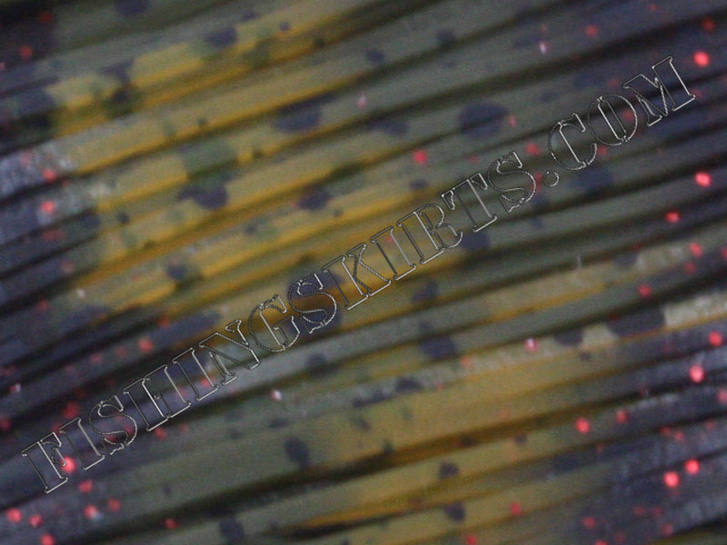 LIVING IMAGE Clear Water Craw Dalmatian