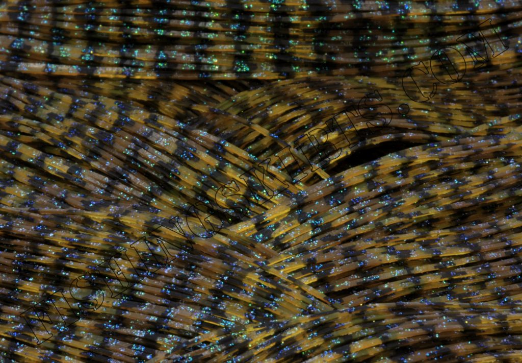 LIVING IMAGE green craw