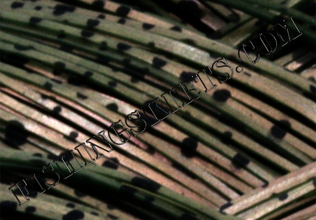 watermelon red glimmer