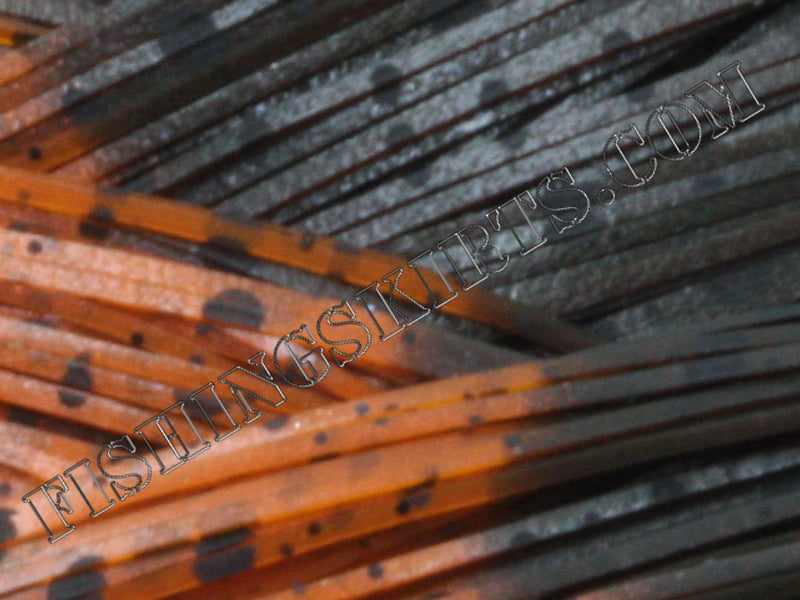 Brown Dalmatian Orange Dalmatian Tips