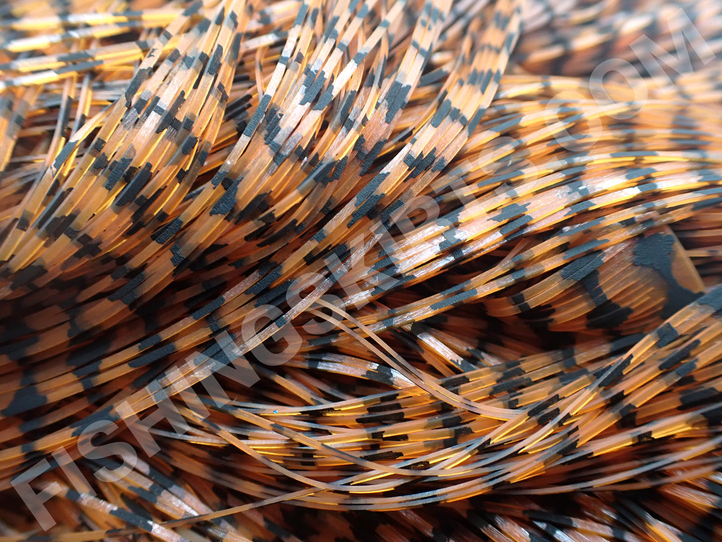 Burnt Orange Barbed Wire