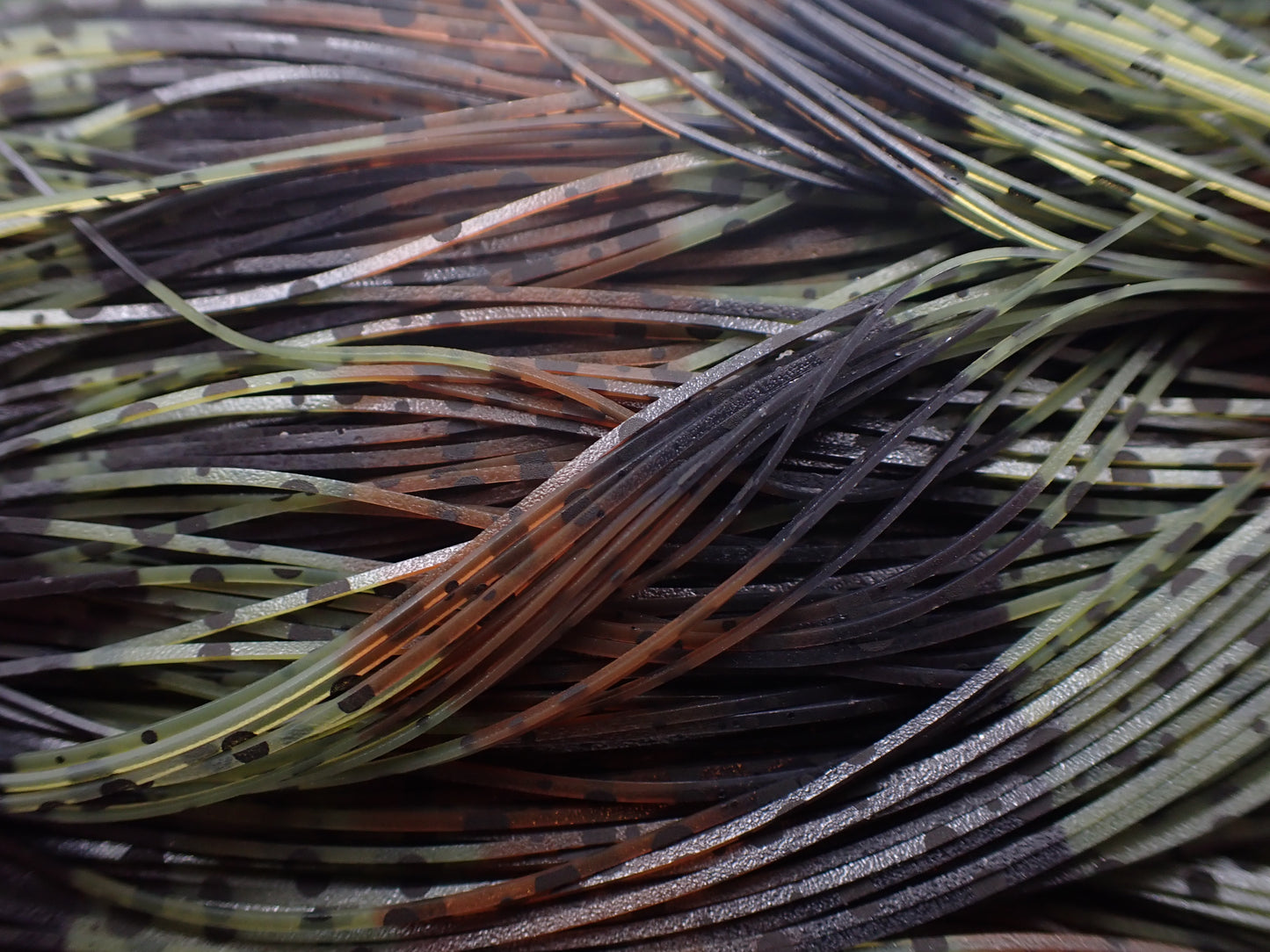 Brown Watermelon DGP Dalmatian