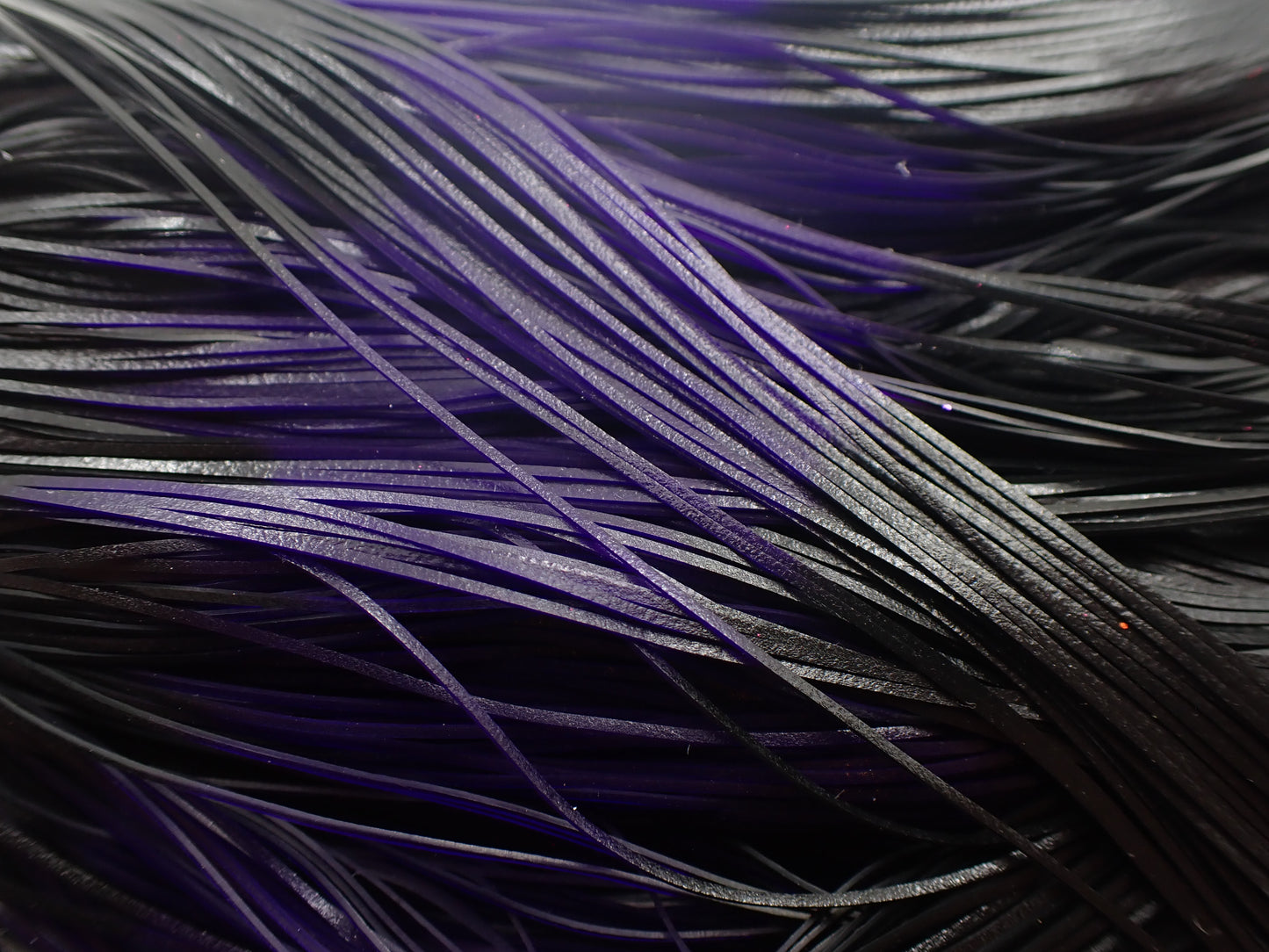 Black Purple Fire Tip