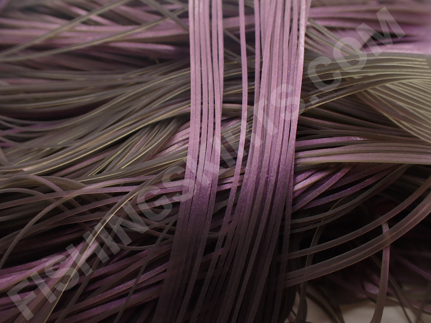 Backbone Purple