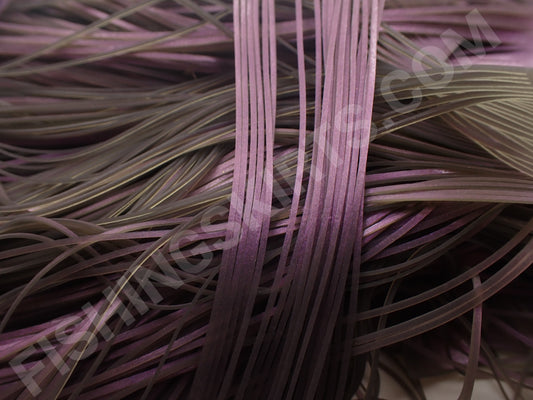Backbone Purple