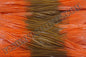 Pumpkin Orange Firetip
