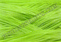 Bright Chartreuse Silver Glitter Scale