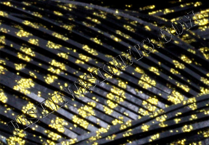 Black Gold Glitter Scale