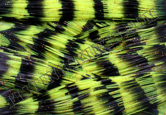LIVING IMAGE Yellow Jacket