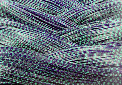 Purple Green Glitter Scale