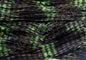 Finesse Living Image Lightning Bug