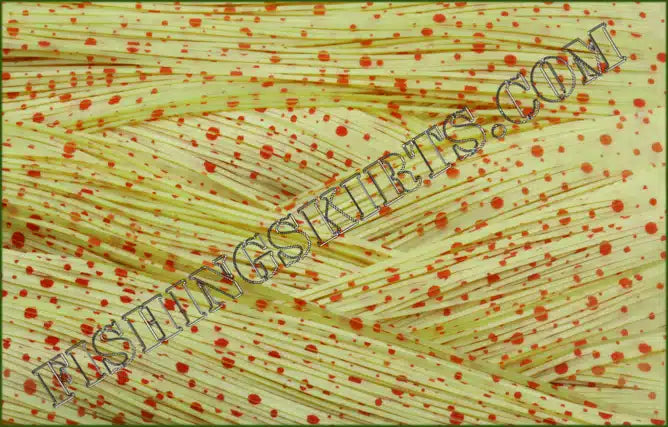 Chartreuse Red Dalmatian