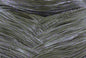 green pumpkin purple
