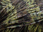 LIVING IMAGE Army GP Yellow Watermelon Candy