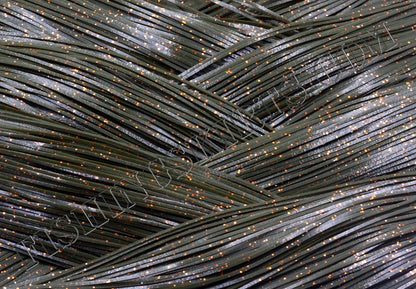 green pumpkin copper