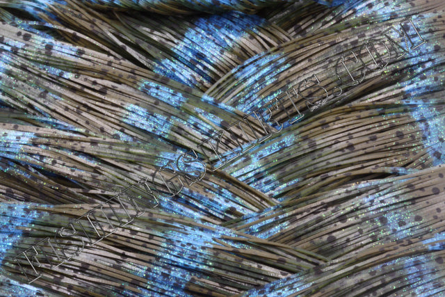 LIVING IMAGE blue grass