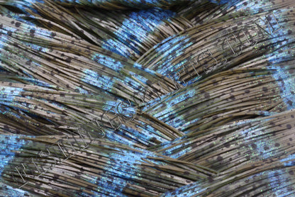 LIVING IMAGE blue grass