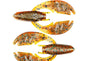 NetBait Paca Chunk Sr Sun Perch 3.25" 5pk
