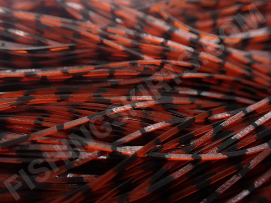 Rust Barbed wire