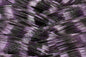 LIVING IMAGE purple shad