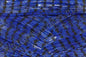 blue HW
