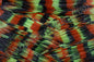 LIVING IMAGE Muddy Water Shad