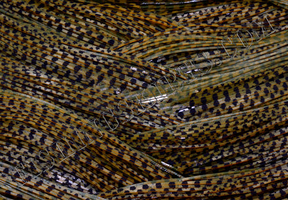 Amber Pumpkin Fishscale