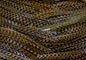 Amber Pumpkin Fishscale