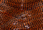 orange crush black bw