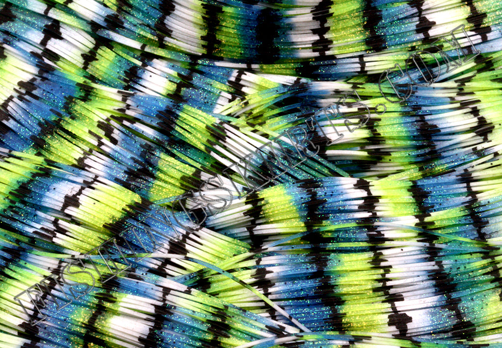 LIVING IMAGE sexy shad HW