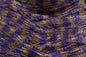 LIVING IMAGE  whiskey purple dalmation