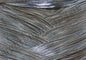 dark green pumpkin blue