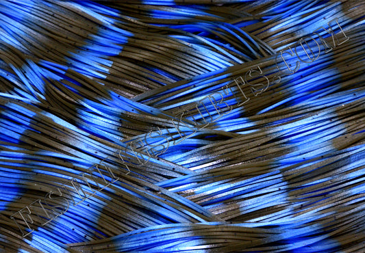 LIVING IMAGE electric craw