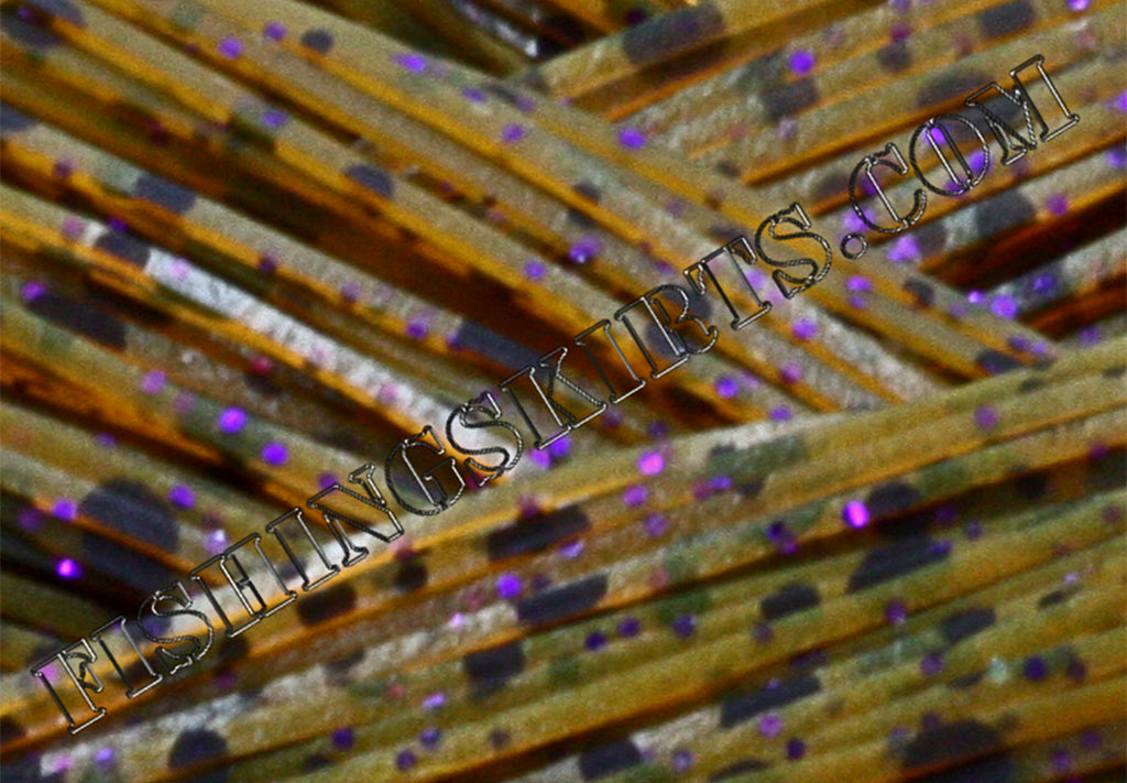 amber pumpkin dalmatian purple glitter