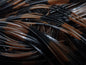 Living Image Black Brown