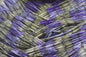 LIVING IMAGE purple passion hw