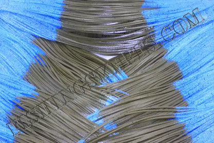 green pumpkin blue sapphire tips